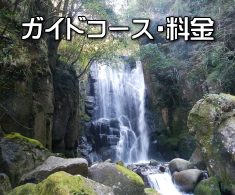 熊野古道・ガイドコース
